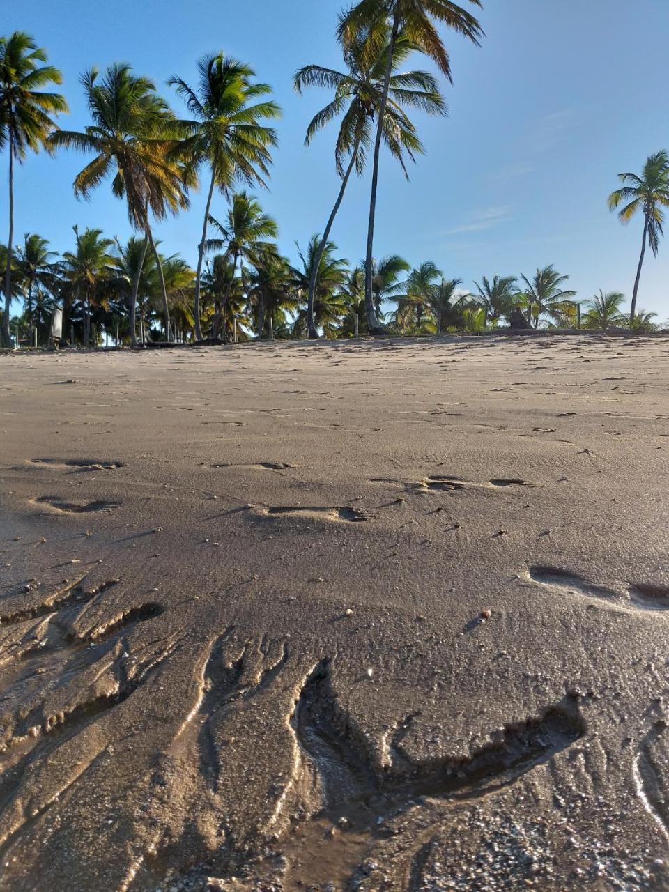 Pousada Vida Mar Hotel Barra Grande  Eksteriør billede